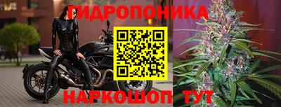 каннабис Апшеронск