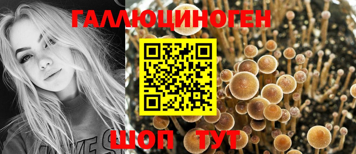 Галлюциногенные грибы мухоморы  Галлюциногенные грибы ЛСД  Вход с VPN  Воркута 