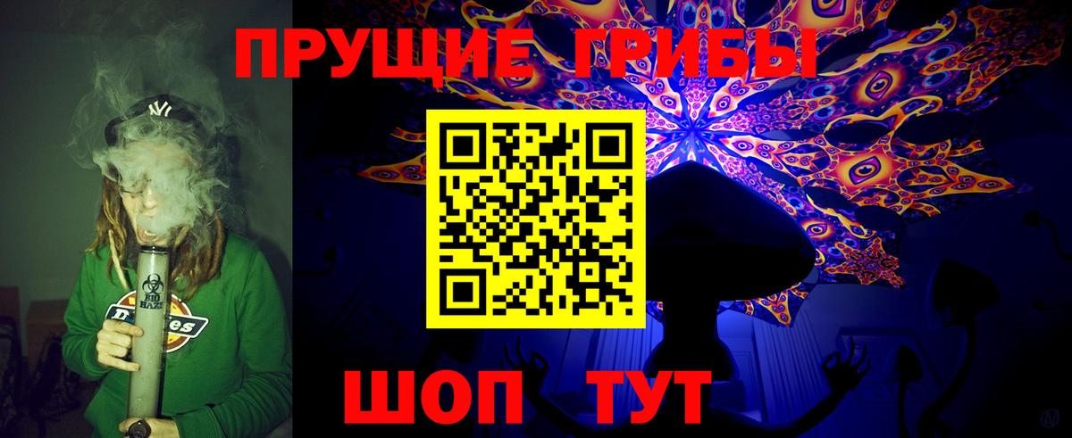 Псилоцибиновые грибы Psilocybe Воркута